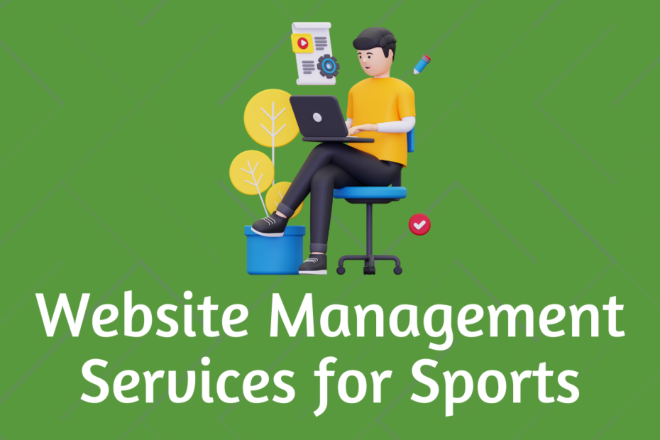 Website Management Services for Small Business Sports